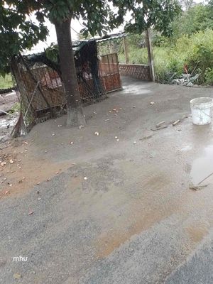 Đất mặt tiền C5/17D Nguyễn Văn Thời.Bình chánh 540 tr — ảnh 1