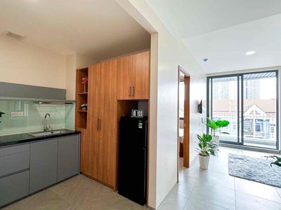 Căn hộ mini ngay Hoà Bình - Tô Hiệu đầy đủ nội thất bancol — ảnh 1