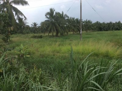 Đất nhà, vị trí mặt tiền rất đẹp, tiềm năng, K.doanh tiện lợi, giá rẻ.