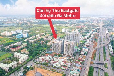 căn hộ The Eastgate - bán căn 1pn+ 1wc giá 2ty250, Đông Hoà, Hcm