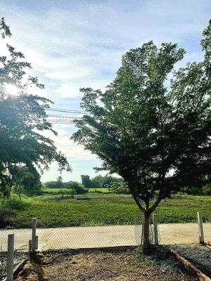 Sở hữu 134m² full thổ – ngang 5m – ngay cầu bà tượng!