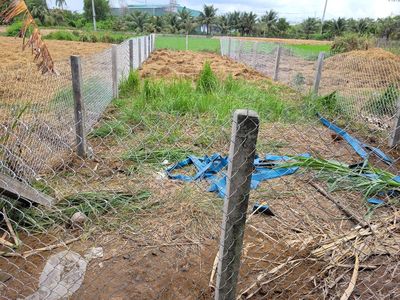 bán nhanh đất thổ cư 113m2 tại Long khê
