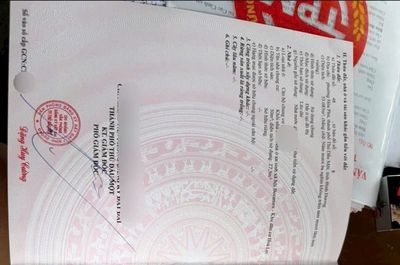 Nghèo cũng đủ tiền mua căn hộ: 365 triệu — ảnh 1