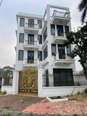 Bán nhà 4 tầng cạnh KCN thăng long 2 phố nối hưng yên — ảnh 1
