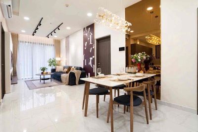 Chuyên cho thuê căn hộ Diamond Centery — ảnh 1