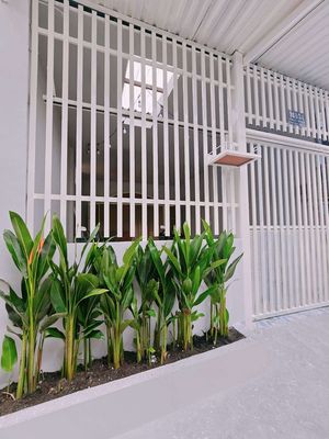 Chính chủ nhà bán nhà Hương Lộ 2, bán đất tặng nhà — ảnh 1