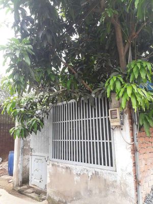 Nhà vườn Quách Điêu vĩnh lộc A — ảnh 1