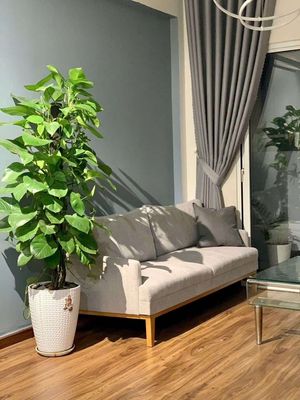 Bán căn hộ HQC 54m2 2PN, nhà đẹp, nội thất 1ty150 — ảnh 1