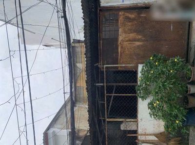 Giảm sâu 1,6 tỷ khu bàu cát tân bình dt 100m giá chỉ 9,3 tỷ — ảnh 1