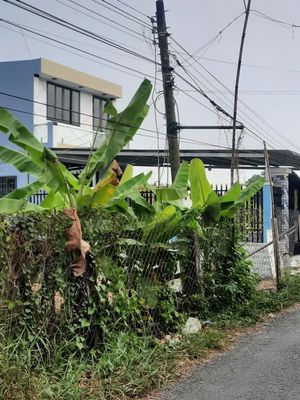 Bán đất mặt tiền đường nhựa xã bình an thủ thừa dt (5 x 40 = 200m2) — ảnh 1