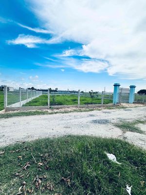Bán đất thổ vườn giá rẻ — ảnh 1