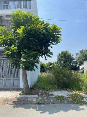 Đất sổ hổng khu Phú Sinh, hai bên đã xây nhà, chính chủ