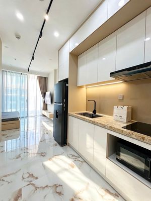Cho thuê căn hộ sunponte - view cầu rồng - căn studio - 12tr — ảnh 1