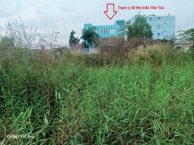 Bán Đất Tân Túc Bình Chánh 274m² - Ngang 6m Hiếm Có - Thổ Cư 6x20m — ảnh 1
