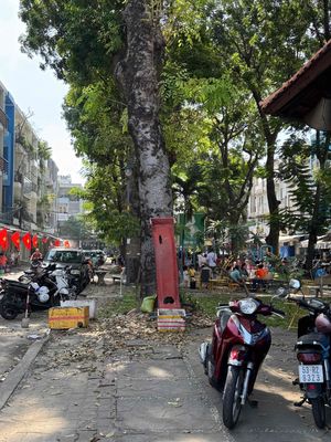 Nhà 2 tầng ngay công viên,diện tích lí tưởng 6x17m nguyễn sỹ sách.qtb — ảnh 1