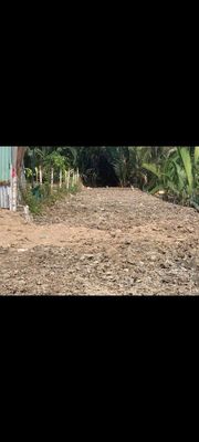 Bán 233 m2 đất mặt tiền ngô quang thắm nhơn đức, nhà bè. — ảnh 1