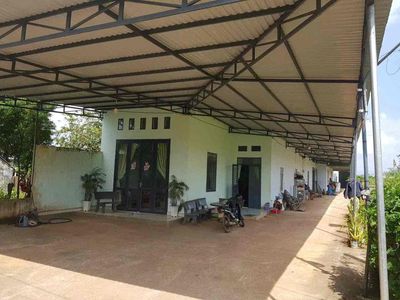 Cần bán gấp giá rẻ,có thêm 1000m2 đất ruộng full giấy tờ.