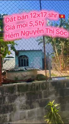 12x17 Nguyen Thi Soc — ảnh 1