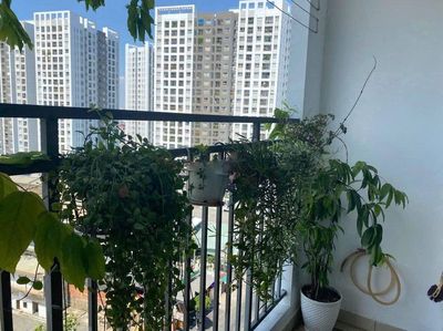 Cho thuê chung cư Richstar 85m2, 3PN, 2WC, Giá: 15tr/tháng — ảnh 1