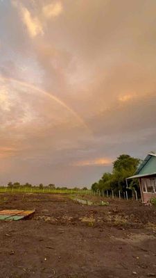 Bán đất trung an , ven sông sài gòn thổ cư 300m — ảnh 1