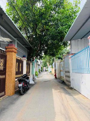 Đất 4 lô liền kề 75m2/lô giá 1,95 tỷ hẻm oto tận đất Nguyễn Tri Phương — ảnh 1