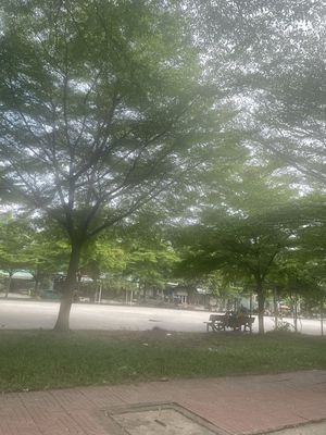 Gấp Gấp! đất Bình Lợi view công viên. DT 5x20m. Hẻm Thông 12m — ảnh 1