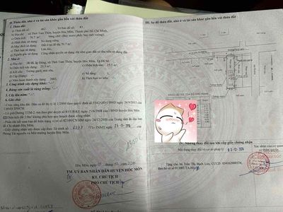 Bán gấp lô đất đẹp – hẻm xe hơi 1 / trịnh thị miếng – gần chợ bắp hm — ảnh 1