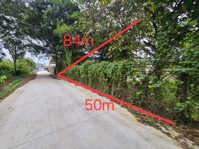CC - Trần Văn Giàu 50x84 (3.283m2) đường xe tải — ảnh 1