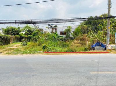 Bán gấp đất 205m2 Giá 890Tr đường Cây Trôm Mỹ Khánh ngay ga Metro số 2 — ảnh 1