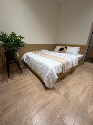 Khai trương căn hộ quận 4 kế bến nhà rồng, cầu mống, phố đi bộ ng huệ