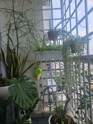 Alisa bán căn góc Cc Nguyễn Văn Đậu lầu cao thoáng mát 92m2 2PN — ảnh 1