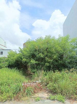 Đất 5,1x16 đường nhựa 7m thông — ảnh 1