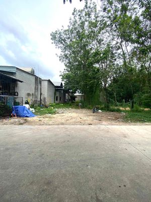 Bán gấp đất gần chợ Phú Chánh A, ngang 10.3m sẵn 2 sổ, giá 4.6 tỷ — ảnh 1