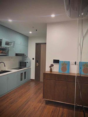 Siêu phẩm bs 1pn+ giá mềm bất ngờ kẹt bank ra gấp. — ảnh 1