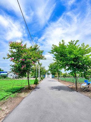Tổng 500m2 đất trung tâm đức trọng - gần sân bay - chỉ hơn 3 tỷ — ảnh 1