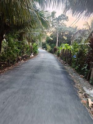 Đất cai lậy 500m² (10x50) – 100m² thổ cư – mặt nhựa, giá 1,5 tỷ — ảnh 1