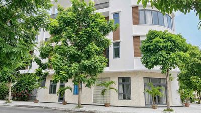 Cho thuê căn hộ một phòng ngủ khu Nam Việt Á — ảnh 1