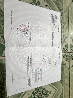 bán đất nền chính chủ