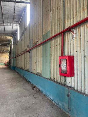 Cho thuê kho xưởng tại P Long Trường, đẹp, giá tốt, hiếm có, pccc vach — ảnh 1