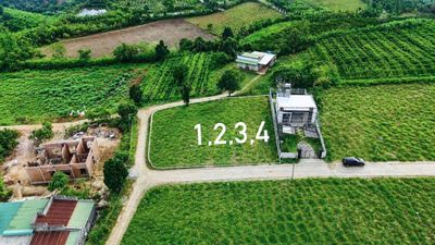 Đất view rừng thông xanh mát tại nam ban - lâm hà - ven đà lạt