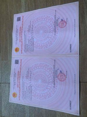 đất giá sinh viên