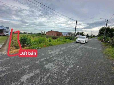 Bán đất thổ cư xã Bình Trinh Đông, Tân Trụ, LA: 5 x 50, giá 1,08 tỷ