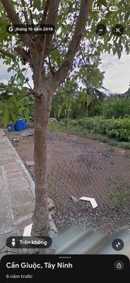 Đất đẹp trung tâm thị trấn cần giuộc – giá tốt