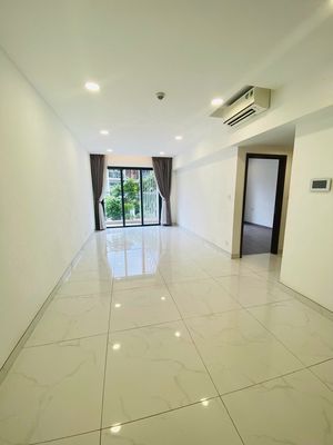 Cho thuê chung cư brilliant,alnata,emerald celadon city quận tân phú — ảnh 1