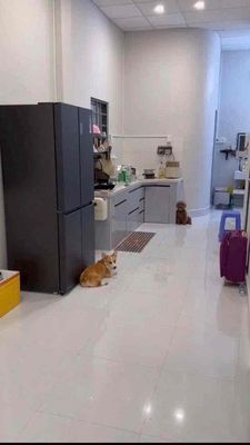 Cho thuê nhà nguyên căn 160m2, Mặt tiền Đông Thành