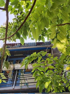 Cho thuê nhà nguyên căn, đường võ văn kiệt p.7.. quận. 6