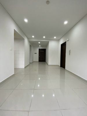 Bán nhiều căn chung cư ruby,emerald,alnata celadon city quận tân phú