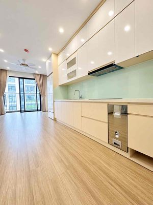 Cần bán gấp 2n2 SA1 55m Full đồ 3.99 tỷ Vinhomes Smart City