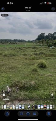 Bán đất vườn. quy hoạch khu dân cư đường Dương Thị Phua