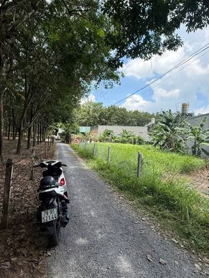 Bán đất 257m2 Hoà Lợi, Bến Cát - Góc 2 mặt tiền